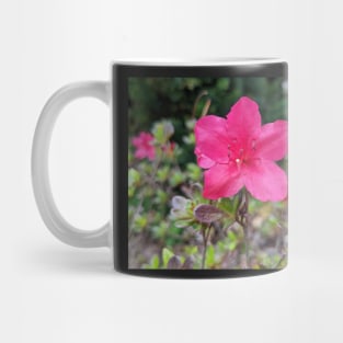 Pink Flower in Meadow 1 Mug